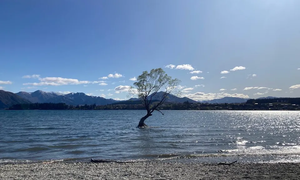 Around Roys Bay, Otago