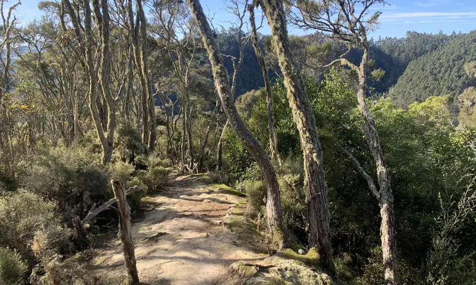 Evansdale to Silverpeaks, Otago
