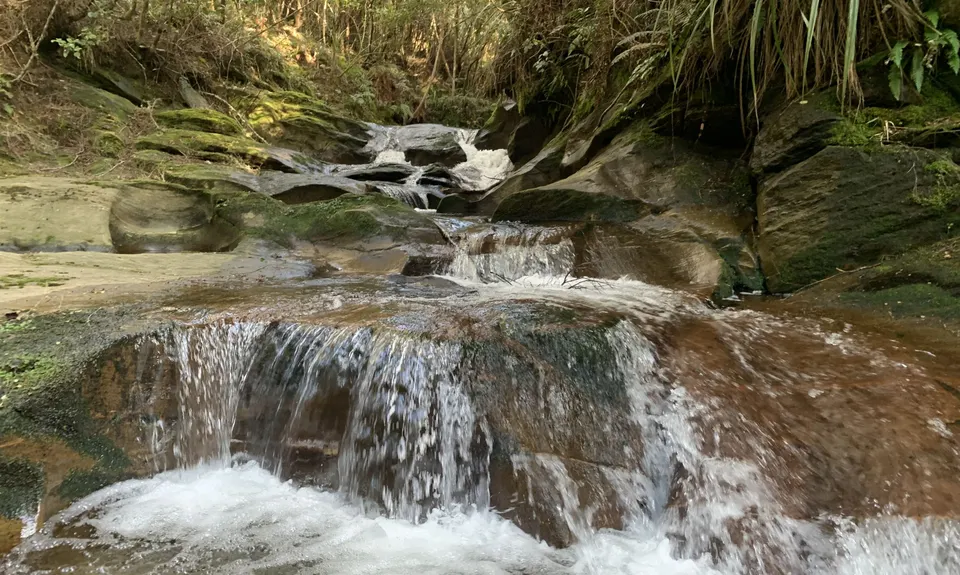 Evansdale to Silverpeaks, Otago