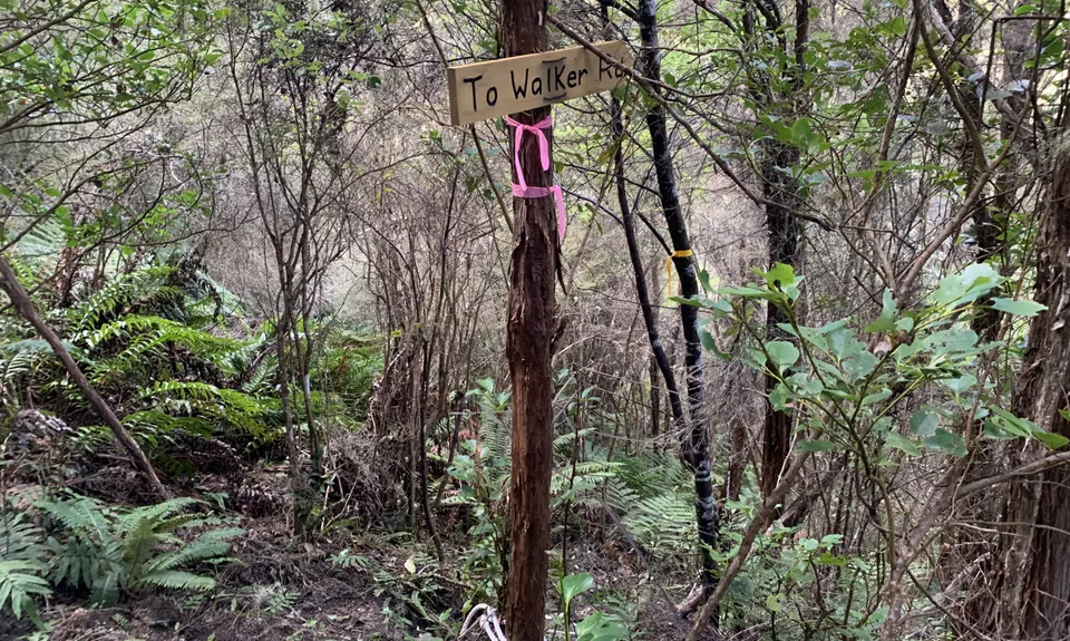 Evansdale to Silverpeaks, Otago