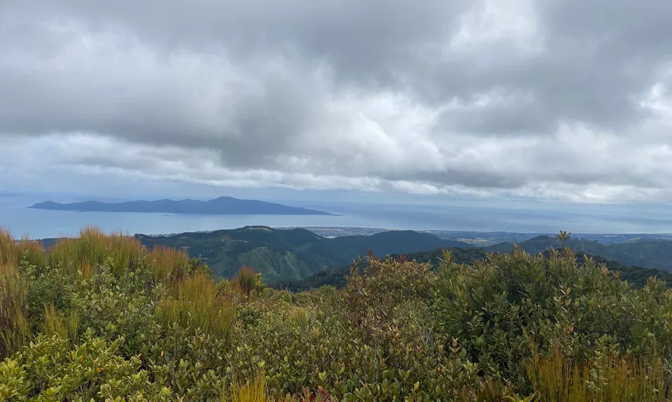 Mounting Maunganui, Wellington