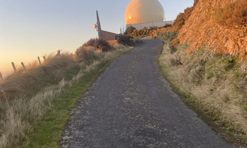 Swallow's loop, Wellington