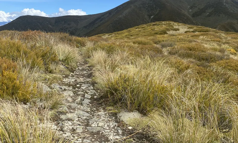 Big Mt Peel, Canterbury