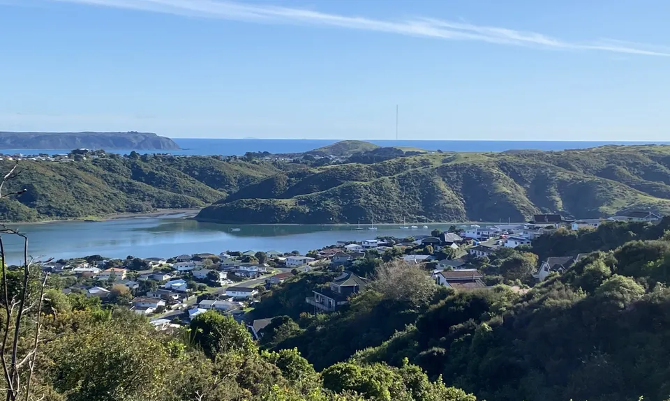 Don't rush to a Conclusion, Wellington