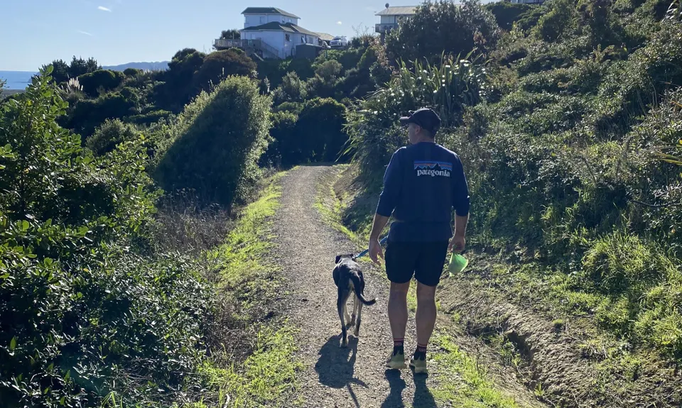 Don't rush to a Conclusion, Wellington
