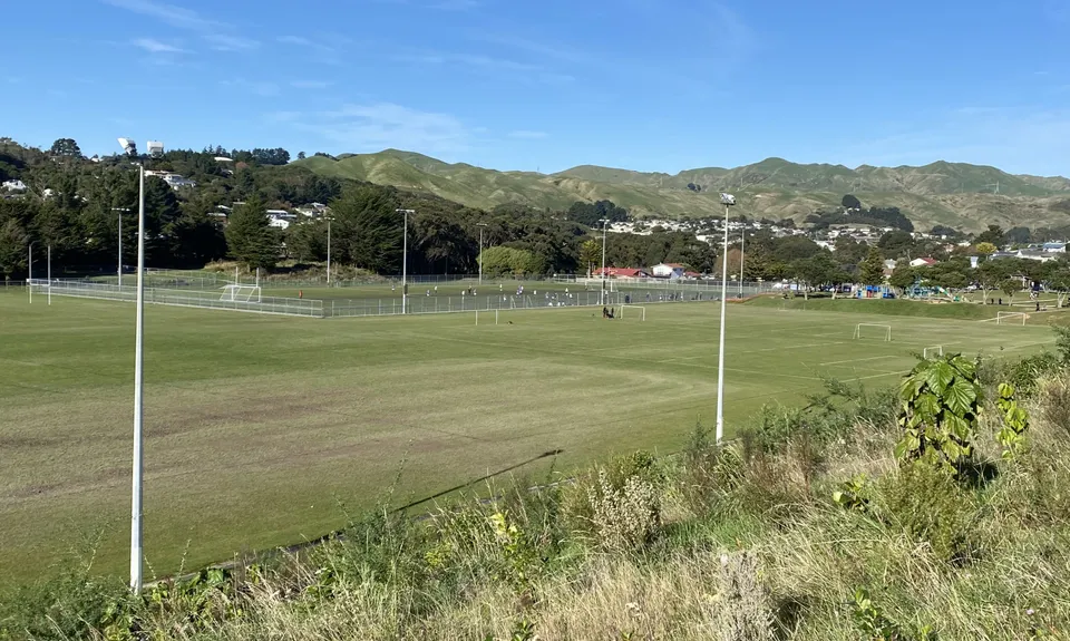 Don't rush to a Conclusion, Wellington