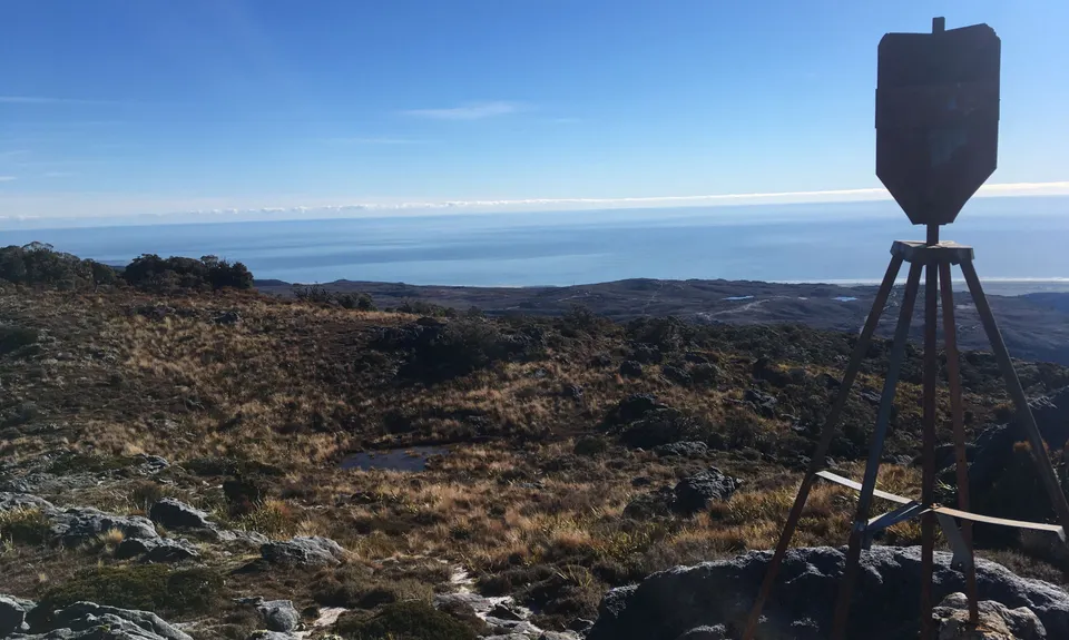 Mt William Loop, West Coast