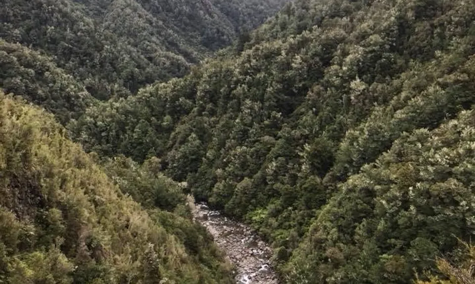 Anatoki-Waingaro-Kill Devil , Tasman