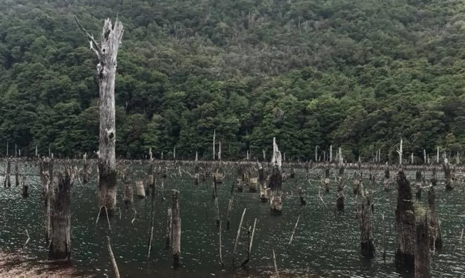 Anatoki-Waingaro-Kill Devil , Tasman