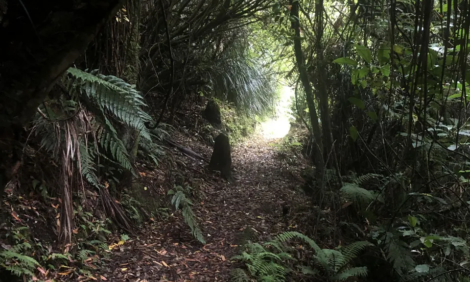 Coppermine Loop & Mine, Manawatu - Wanganui