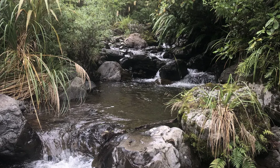 Coppermine Loop & Mine, Manawatu - Wanganui