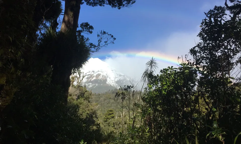 Waiwhakaiho Track, Taranaki