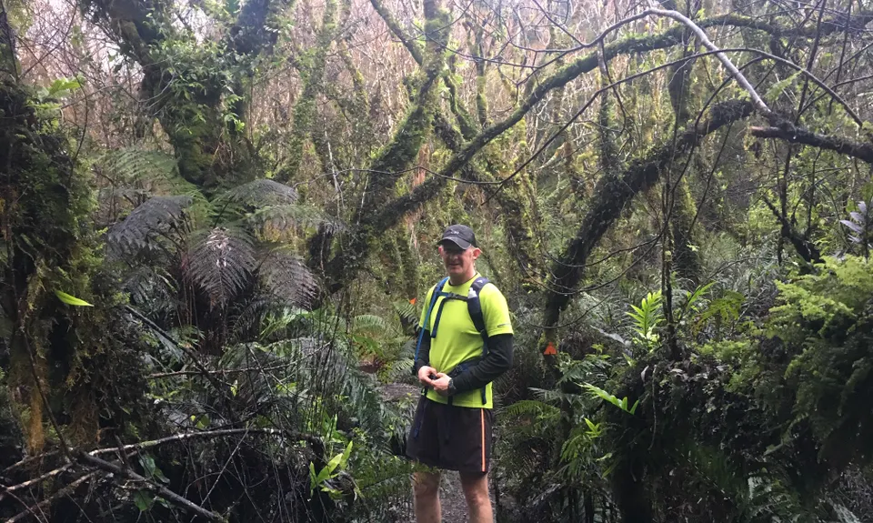 Ernie's loop, Auckland