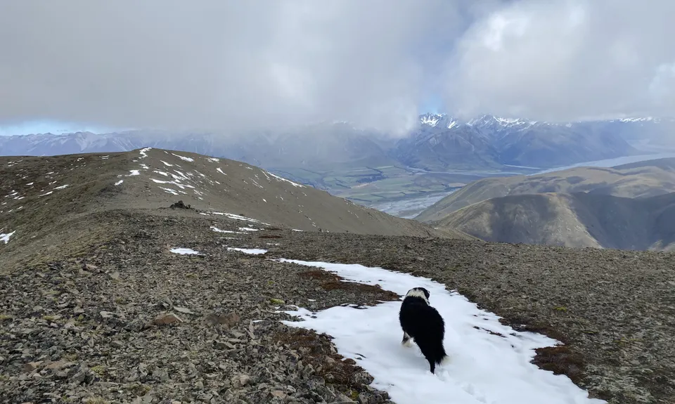 Looping Mt Harper , Canterbury