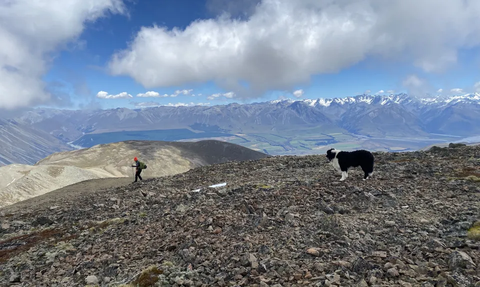 Looping Mt Harper , Canterbury