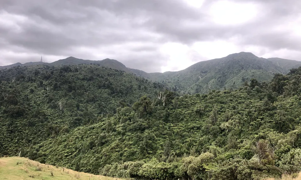 Coppermine Loop & Mine, Manawatu - Wanganui