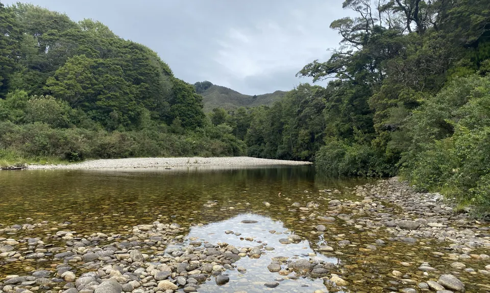 Tiropahi Trail, West Coast