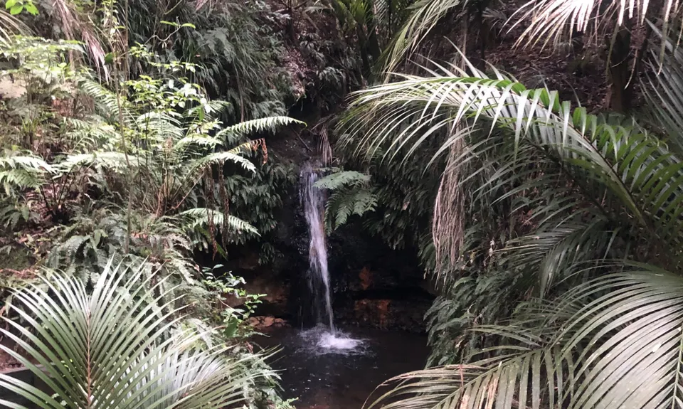 Ratapihipihi, Taranaki