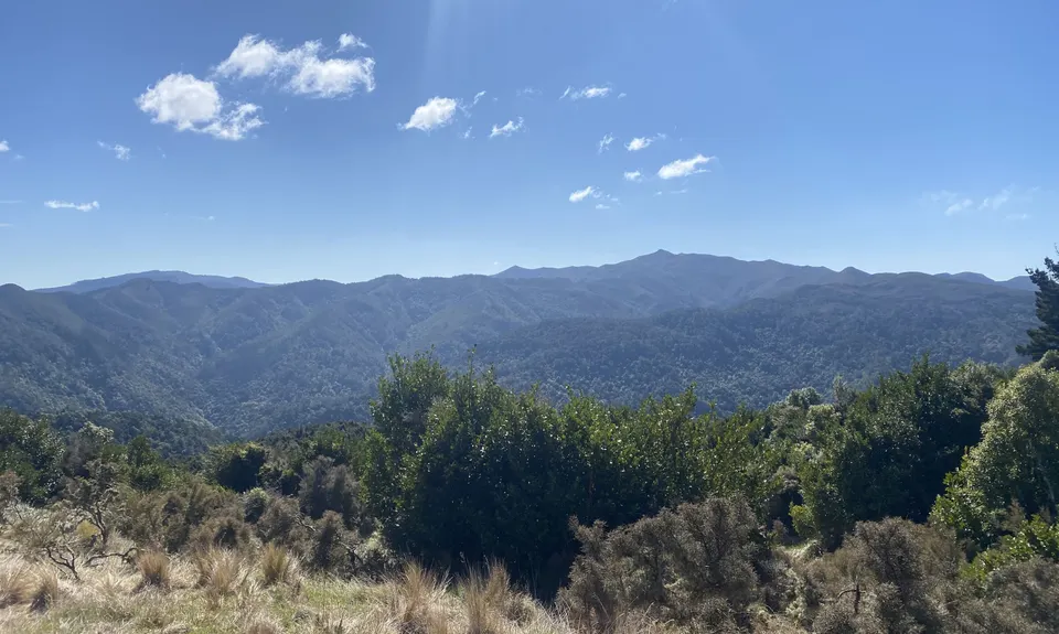 Racing to Rain Gauge, Otago
