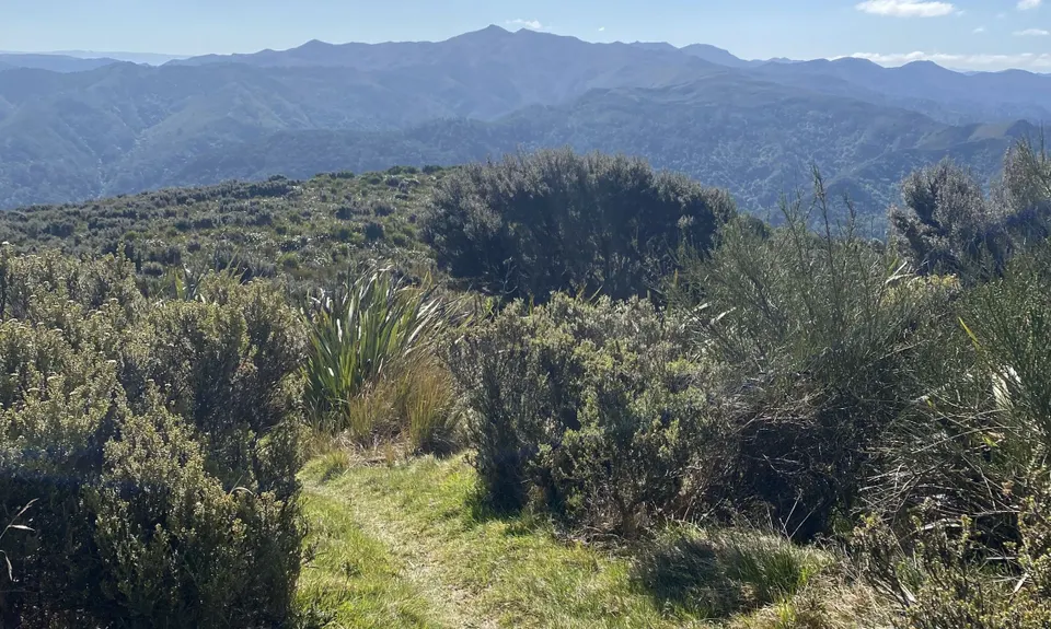 Racing to Rain Gauge, Otago