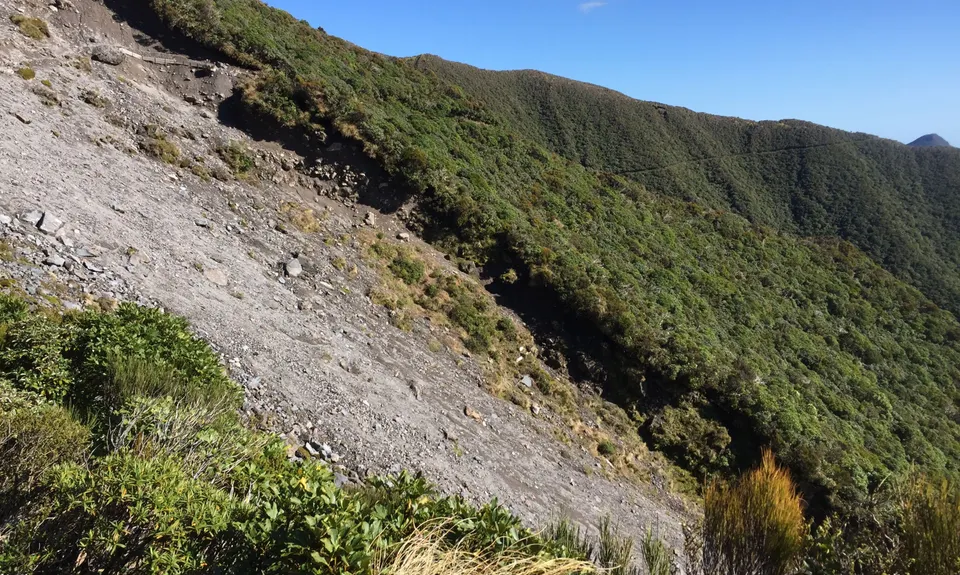 Holly Hutt Track, Taranaki