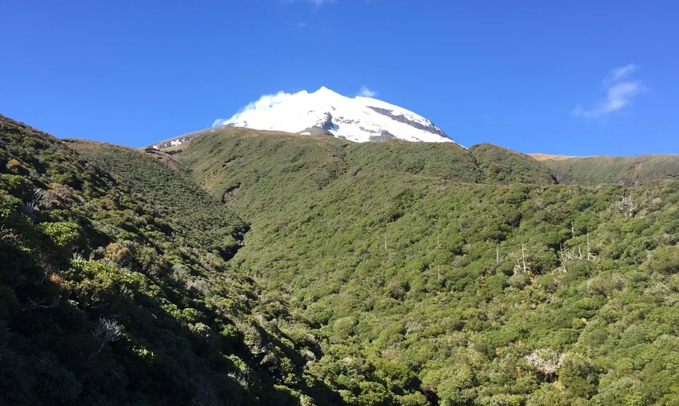 Holly Hutt Track, Taranaki