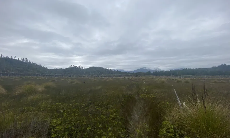 Tiropahi Trail, West Coast