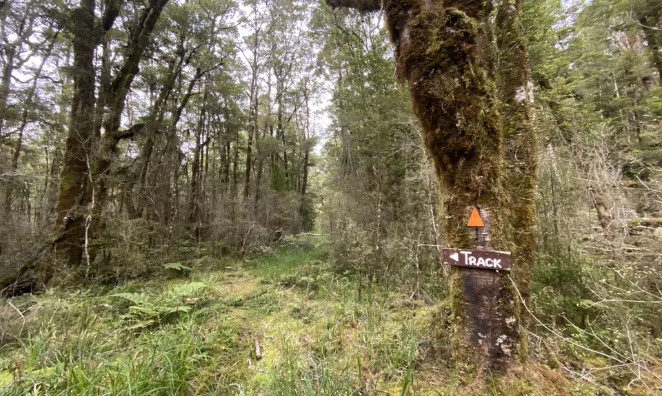 Tiropahi Trail, West Coast