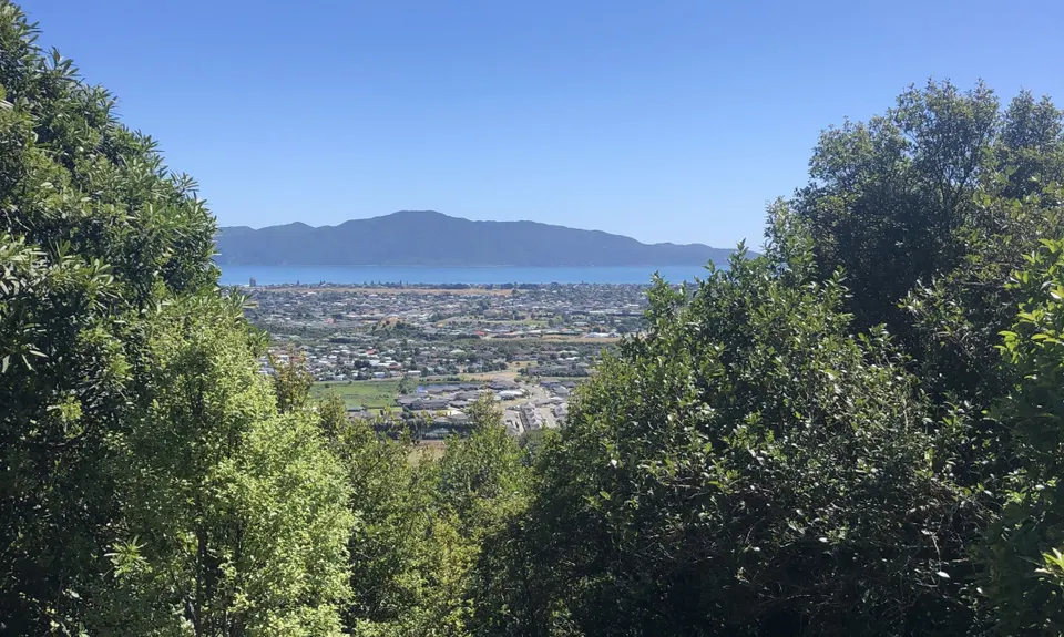 Bright Ridge Skyline Trail, Wellington