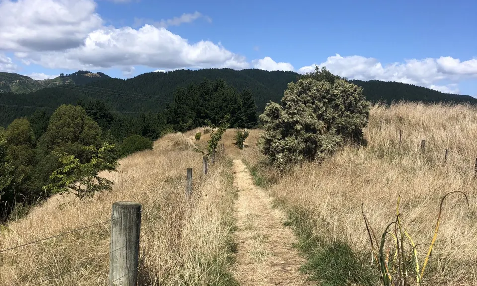 Bright Ridge Skyline Trail, Wellington
