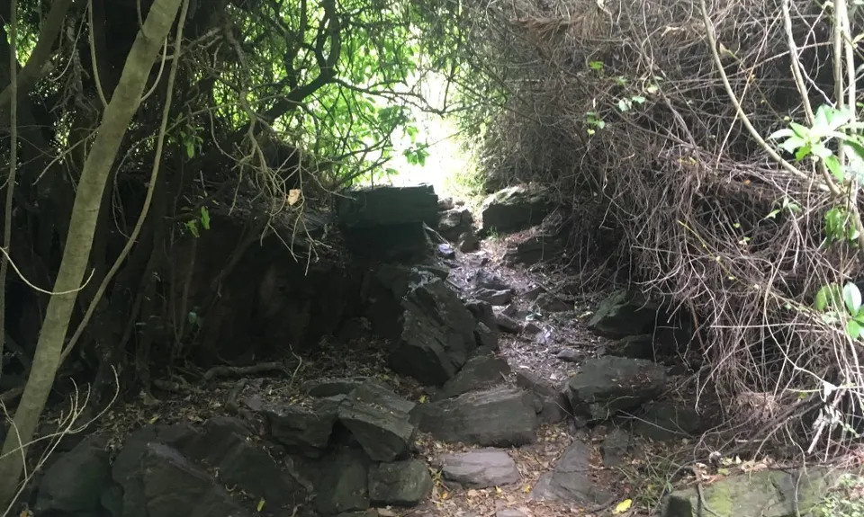 Hunting Out A Gorge-ous Loop, Canterbury