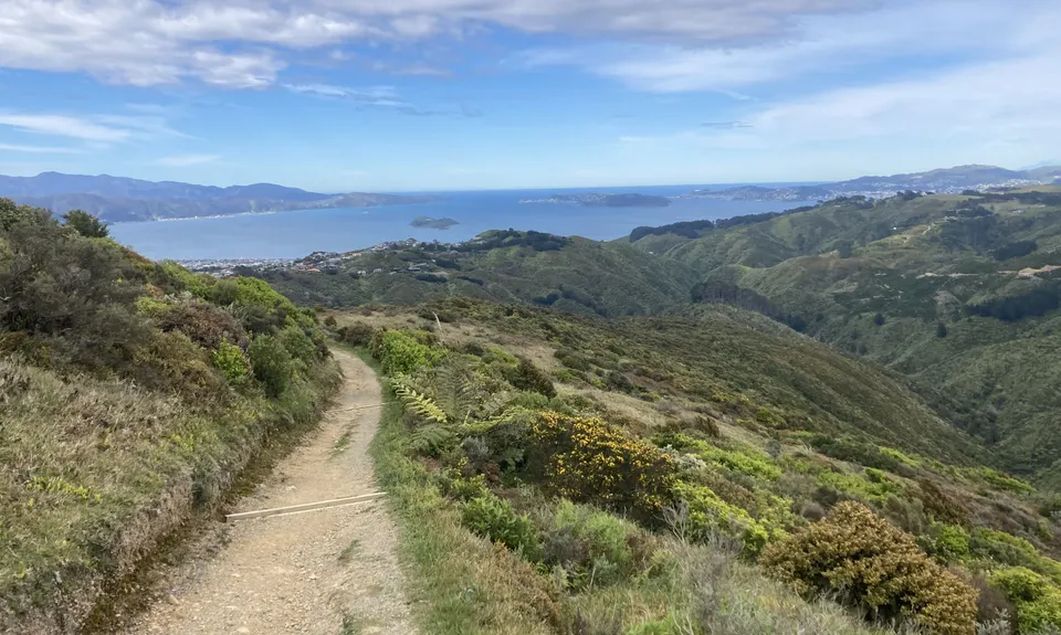 Belmont Tadpole Loop, Wellington