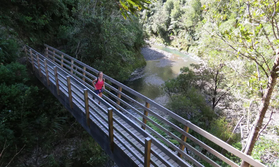 Pakihi Track, Bay of Plenty