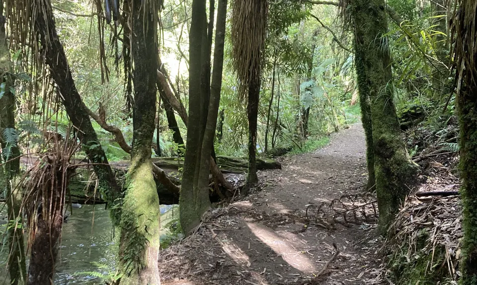 Belmont Tadpole Loop, Wellington