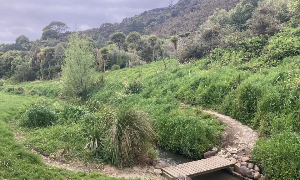 Waddington Loop of Wander, Wellington