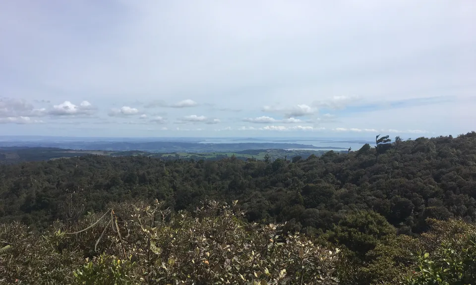 Kohukohunui Connection, Auckland