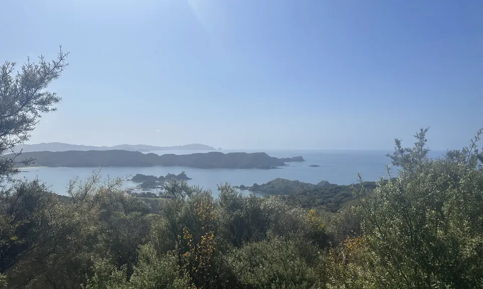 Whangaruru North Head Loop, Northland