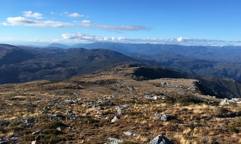 Mt William Loop, West Coast