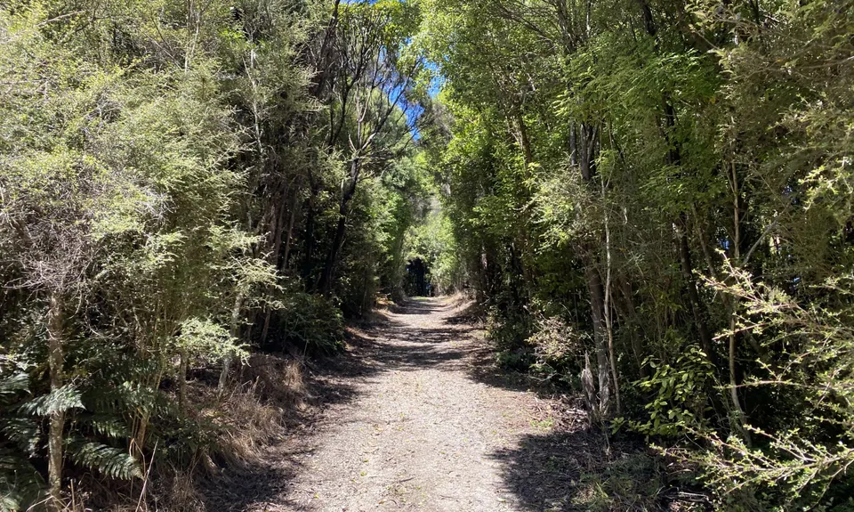 Whiskey Creek, Southland
