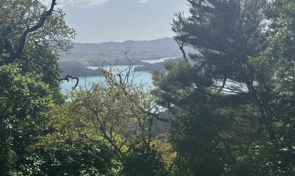 Whangaruru North Head Loop, Northland