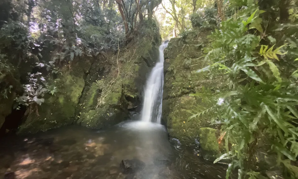 Whiskey Creek, Southland