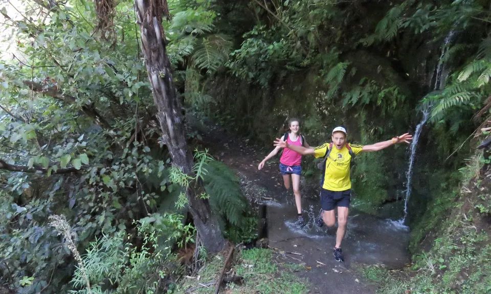 Pakihi Track, Bay of Plenty