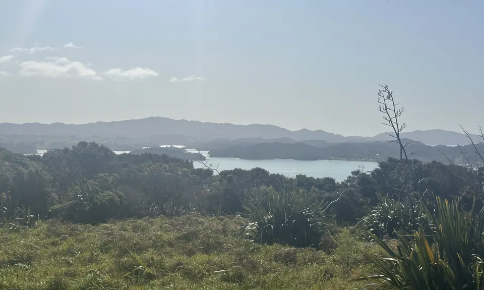 Whangaruru North Head Loop, Northland
