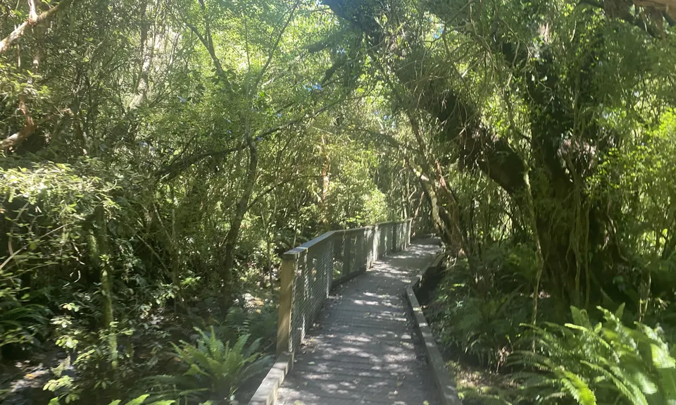 Whiskey Creek, Southland
