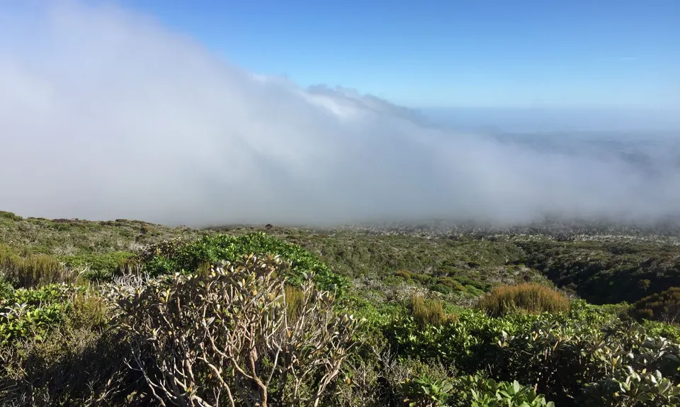 Pouakai Crossing, Taranaki