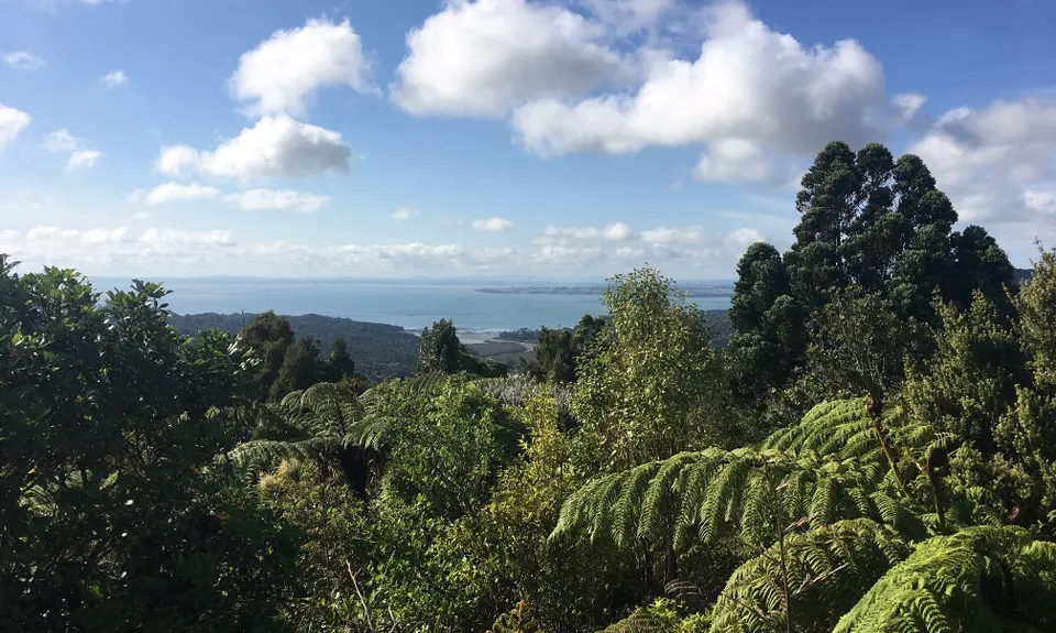Titirangi - Arataki, Auckland