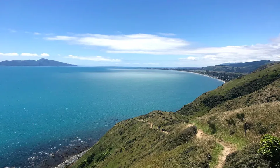 Escarpment Track, Wellington