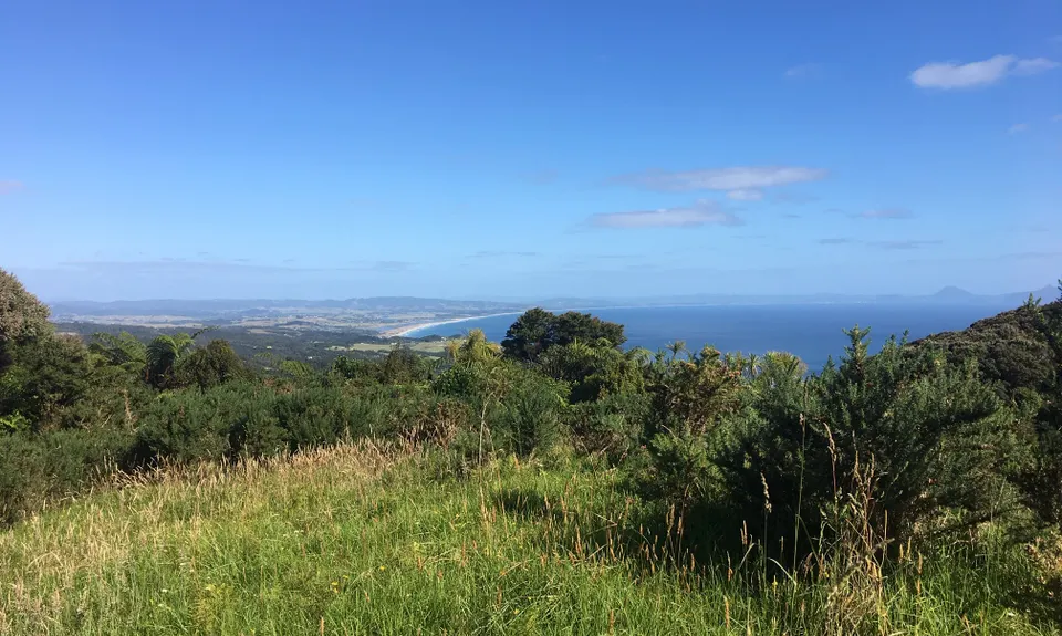 Mangawhai Heads Snarler, Northland