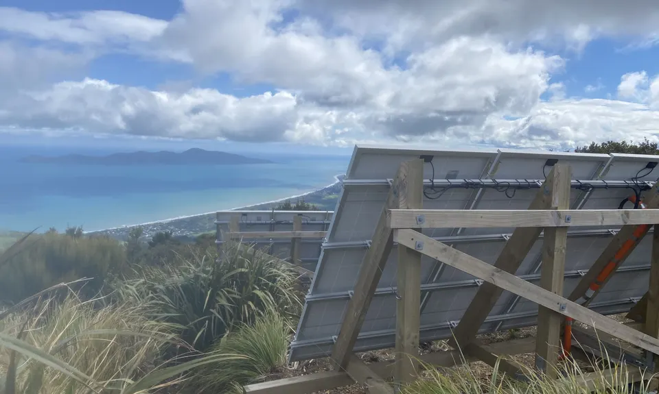 Wainui