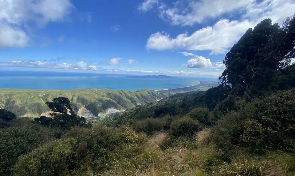 The Big Wainui Loop, Wellington